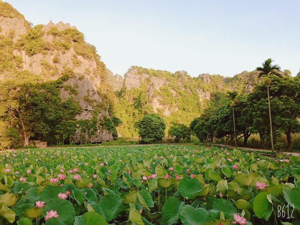 Tam Coc Happy Home Ninh Binh Exterior foto